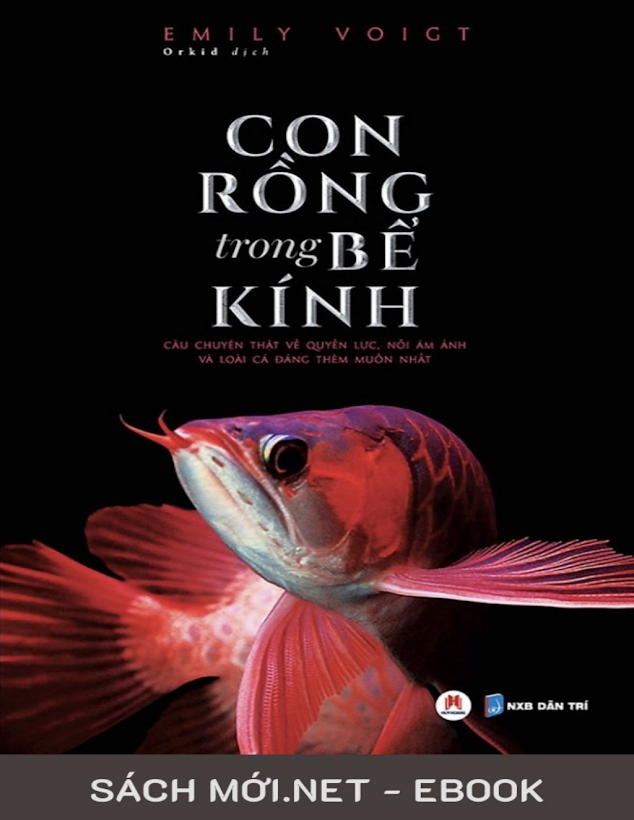 Tải Ebook “Con Rồng Trong Bể Kính” PDF – Khám Phá Thế Giới Lưỡng Cư!