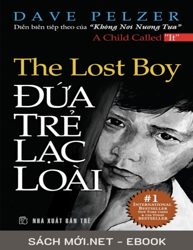 Tải Ebook “Đứa Trẻ Lạc Loài” – Dave Pelzer [PDF Miễn Phí]